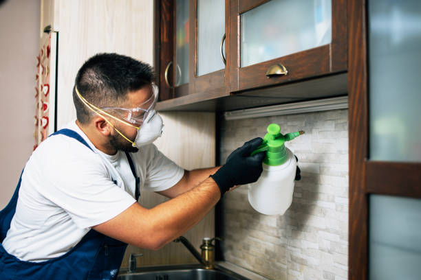 Best Pest Prevention Services  in La Pine, OR
