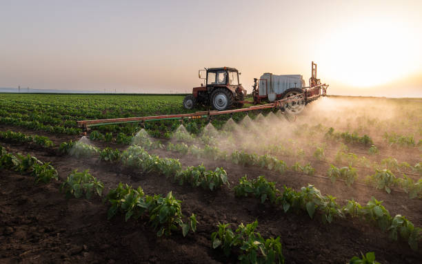 Pest Prevention Services in La Pine, OR