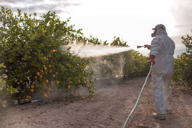 Best Best Pest Control Companies  in La Pine, OR
