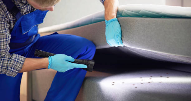 Best Local Pest Control Services  in La Pine, OR