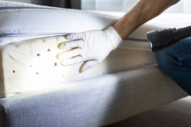 Best Best Pest Control Companies  in La Pine, OR