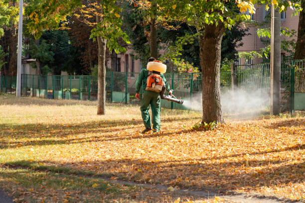 Trusted La Pine, OR Pest Control Experts